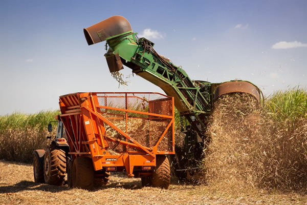 colheita-cana-acucar